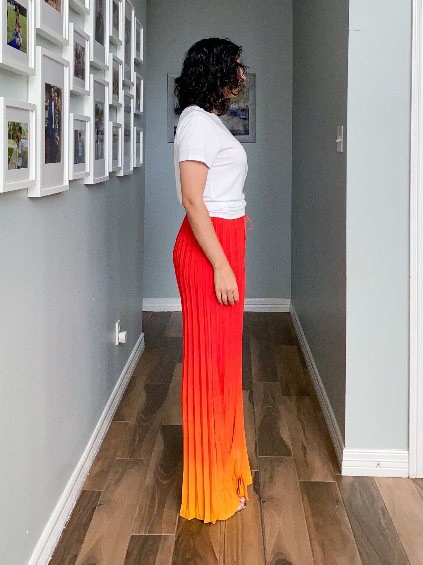 Pleated Sunset Ombre Pants